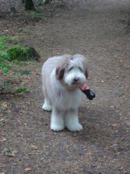 07.10.2010 Malbec